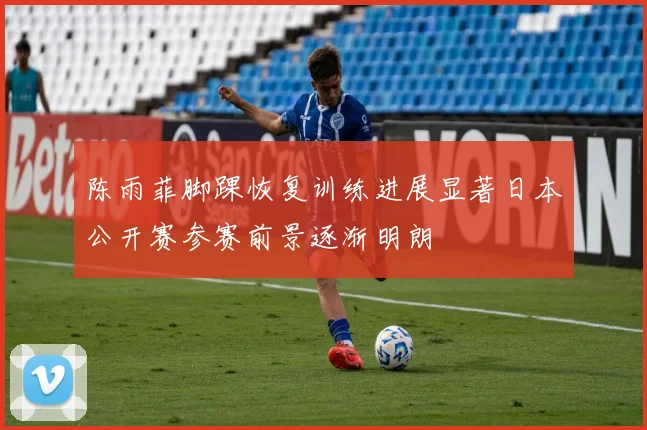陈雨菲脚踝恢复训练进展显著日本公开赛参赛前景逐渐明朗